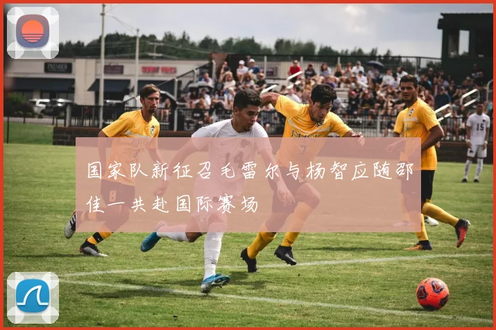 国家队新征召毛雷尔与杨智应随邵佳一共赴国际赛场
