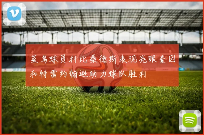 菜鸟球员科比桑德斯表现亮眼奎因和特雷约翰逊助力球队胜利