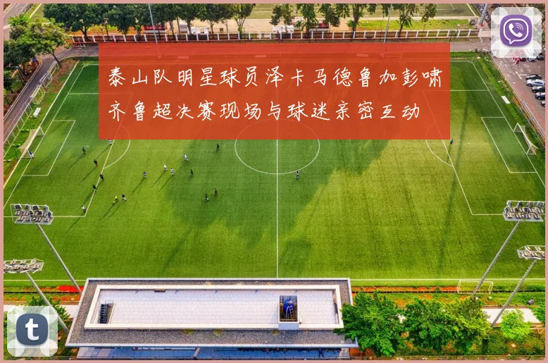 泰山队明星球员泽卡马德鲁加彭啸齐鲁超决赛现场与球迷亲密互动