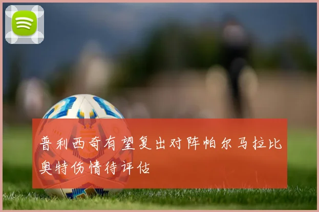 普利西奇有望复出对阵帕尔马拉比奥特伤情待评估