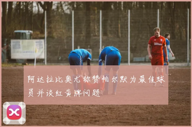 阿达拉比奥尤称赞帕尔默为最佳球员并谈红黄牌问题
