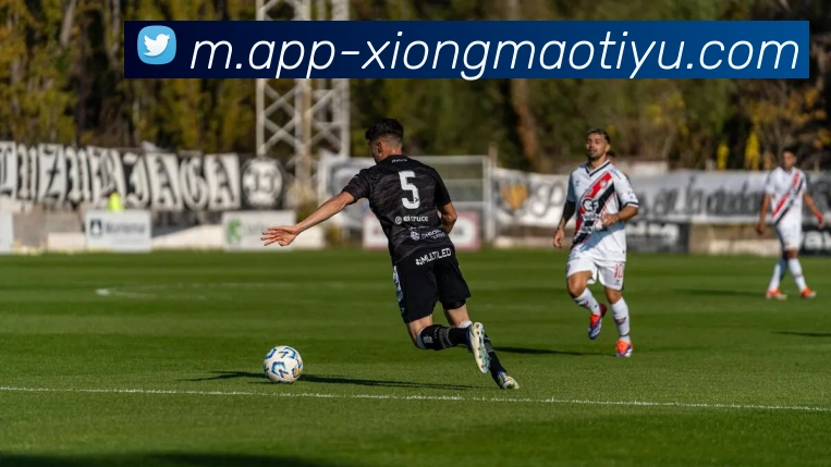 熊猫体育平台生态图