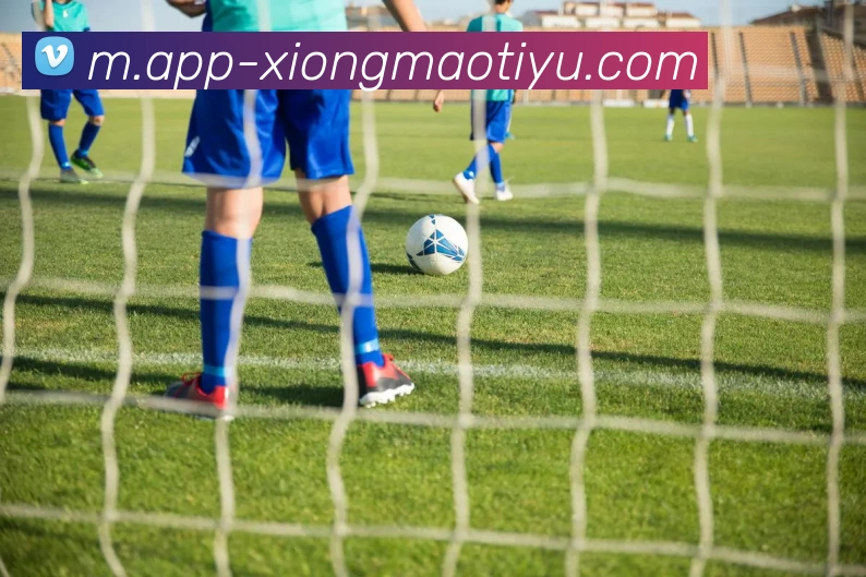 熊猫体育全站App