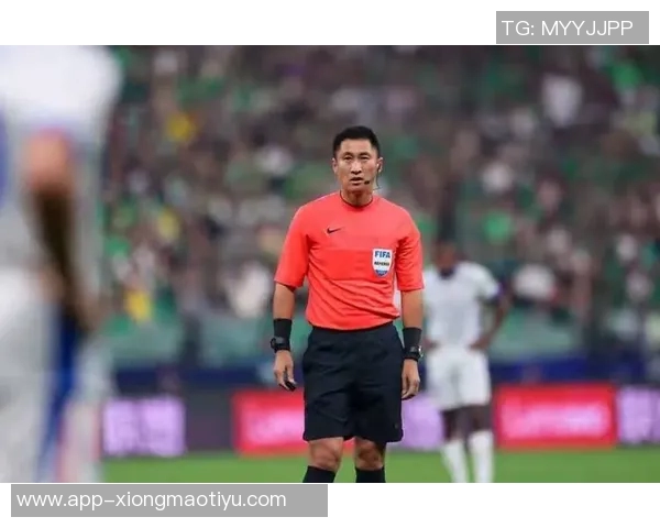 印尼媒体对马宁判罚提出质疑为何塔辛阻挡罗梅尼未被红牌处罚